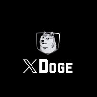 XDOGE币