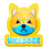 UDOGE币